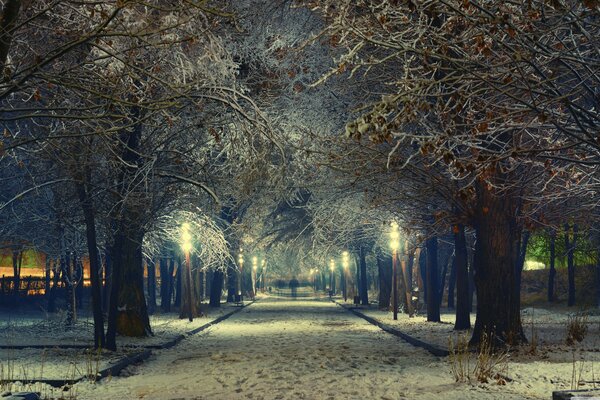 Soirée d hiver dans un parc enneigé