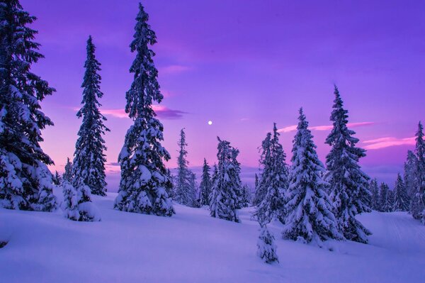 L hiver fascine par sa beauté