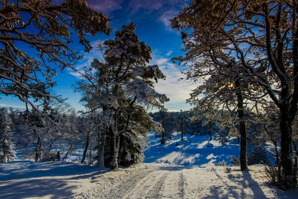 Hiver fabuleux et ensoleillé en Norvège