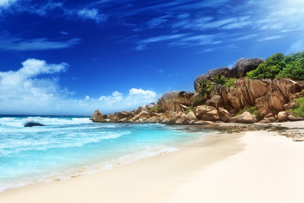 Plage tropicale au bord de la mer