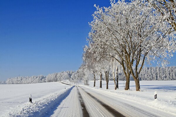 Route enneigée près de la forêt d hiver