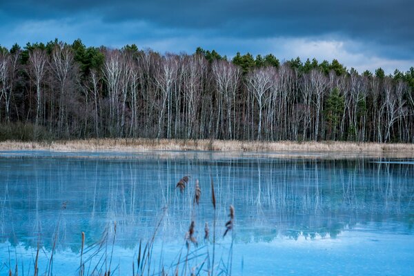 Der herbstdeutsche Wald spiegelt sich im Wasser wider