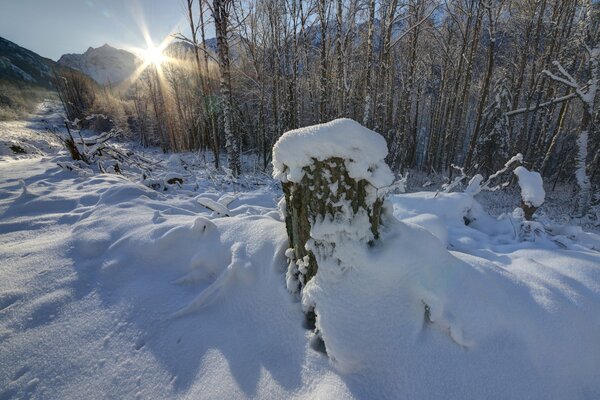 Journée ensoleillée d hiver dans les montagnes