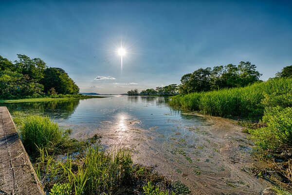 Natura Log Island. Piękny krajobraz. Jasne słońce