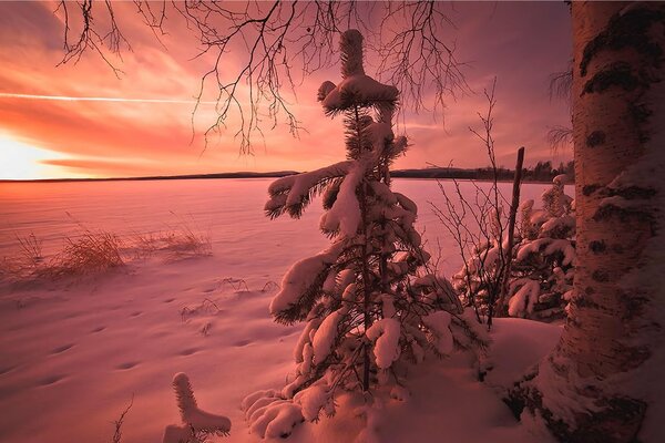 Vanillewolken im Winter