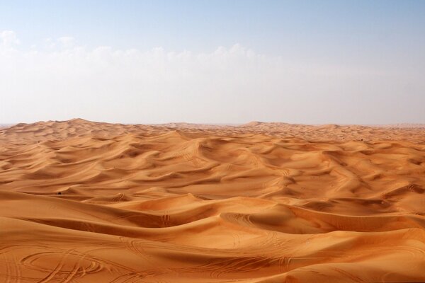 Huellas dejadas en el desierto caliente