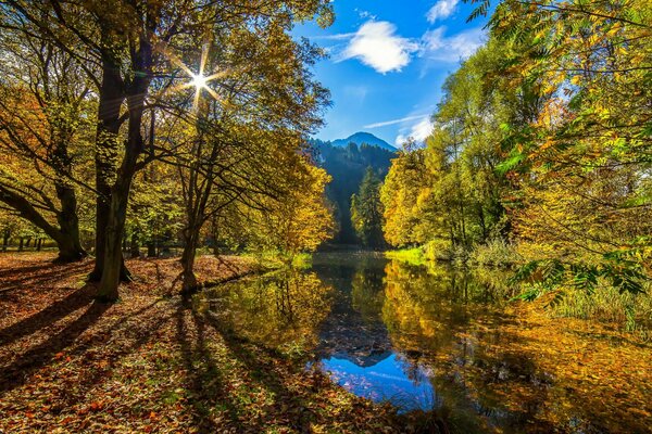 Herbstsonne über dem blauen Fluss