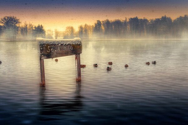 Künstlerische Bearbeitung der See-Fotografie mit Enten