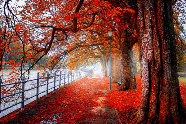 Rubinherbst am ruhigen Fluss