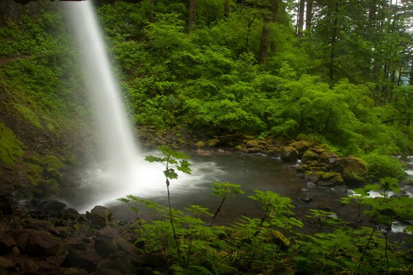 Die Stärke und Geschwindigkeit des Oregon Falls