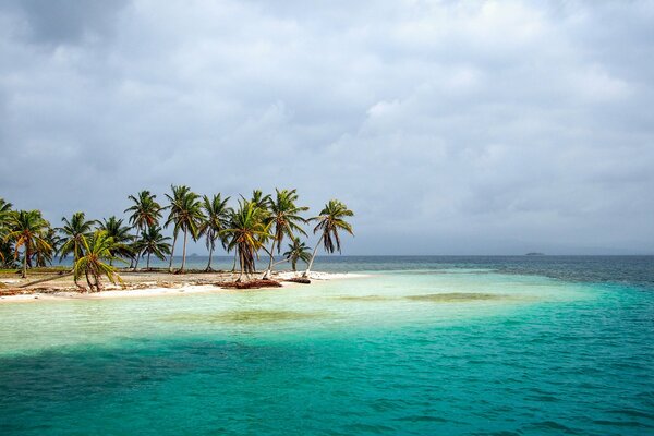 Die Küsten von Panama sind außergewöhnliche Küsten, Palmen und das Meer