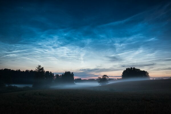 Le brouillard du soir rencontre l aube