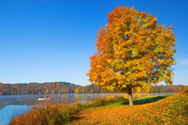 La disattenzione dell autunno in riva al lago