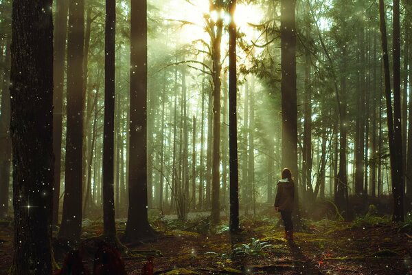 Ragazza che cammina nella foresta delle fiabe