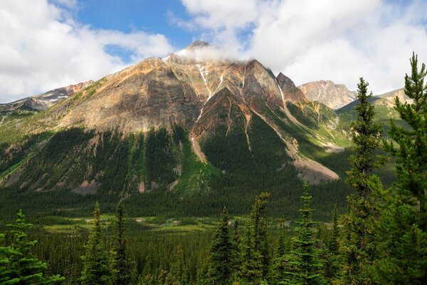 Montagnes pyramidales dans le parc National canadien Jasper