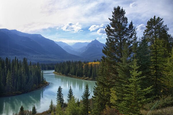 Lac de montagne sur les rives duquel poussent des arbres