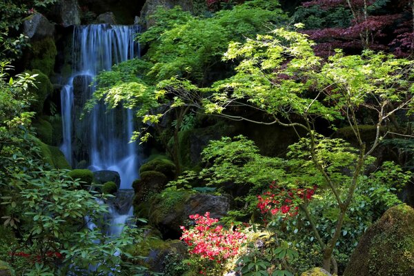 Cascade sur fond de feuillage vert et fleurs