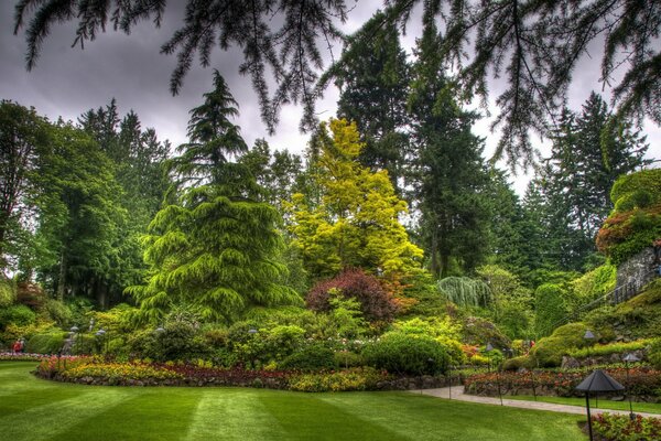 Denso bosque de coníferas y macizos de flores en el parque