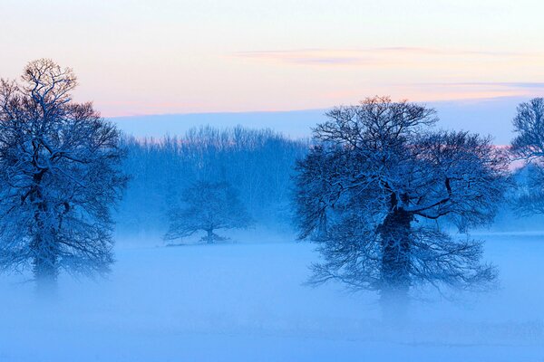 Panorama śnieżnej zimowej przyrody