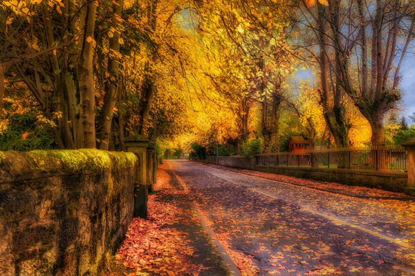 Der Weg durch den märchenhaften Herbstwald