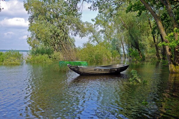 Лодка на реке во время половодья