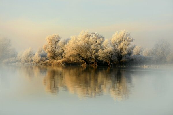 Les arbres sur Internet se reflètent dans la rivière