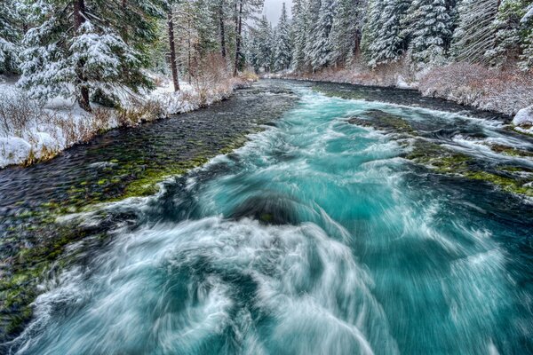 El flujo del río a lo largo del bosque