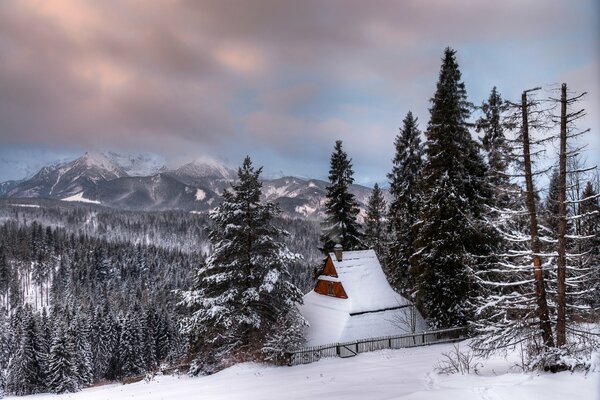 Schneebedeckte Hütte in den Bergen und im Fichtenwald