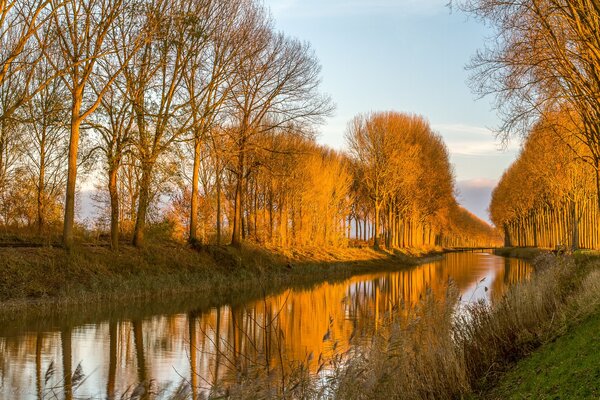 Reflexion von Bäumen und Himmel im Kanalwasser