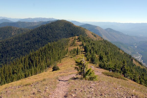 Schöne Landschaft vor dem Hintergrund der Berge