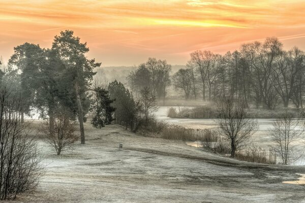 Matin glacial ensoleillé dans la nature