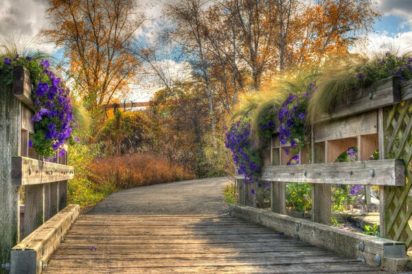 Flowers are blooming we are walking we are walking