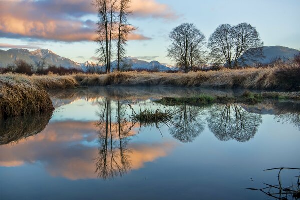 Bäume im Frost in den Bergen von British Columbia