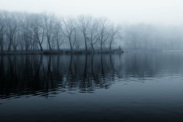 An island with bare trees in the fog on the river