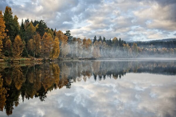 Morning haze in the forest reflected in the water