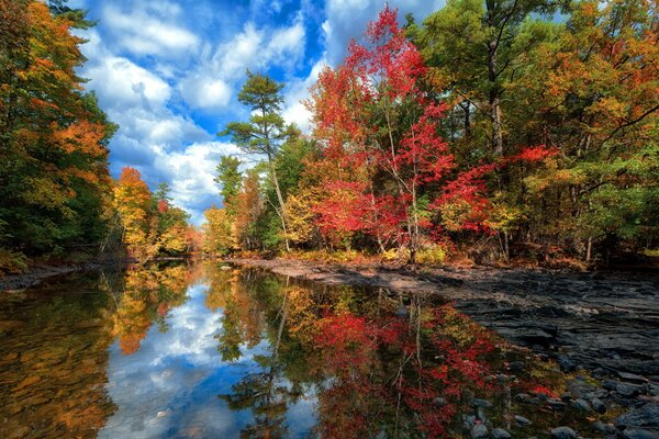 Autumn landscape of trees reflected in the lake