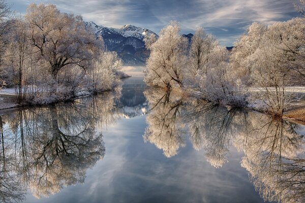 Mirror winter lake in frost