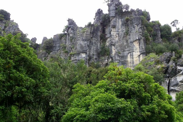 Montañas, bosque contra el cielo