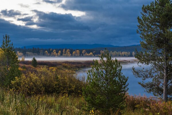 Lake in the forest. Evening fog