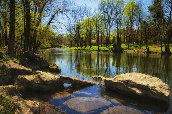 Río de primavera rodeado de rocas y hierba