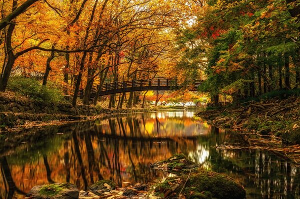 Parque de otoño. Hermoso puente sobre el río