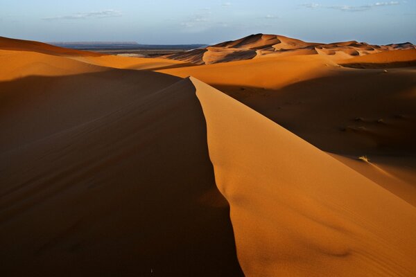 High dunes in the yellow desert