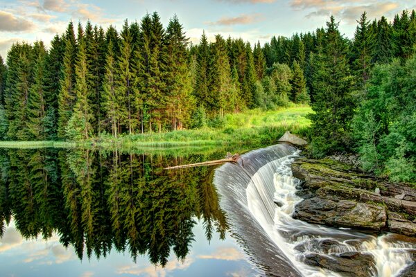 A drop waterfall in the forest. Summer landscapes