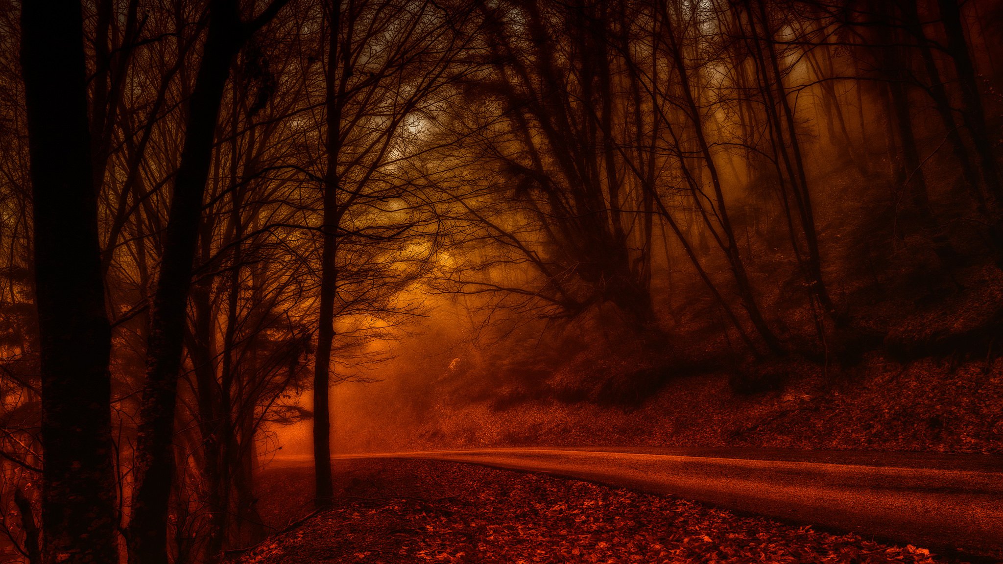 natur landschaft wald herbst bäume straßen