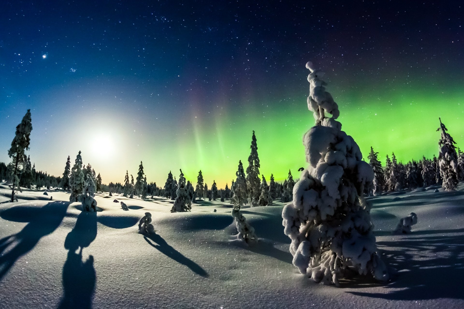 zima śnieg las natura zorza polarna