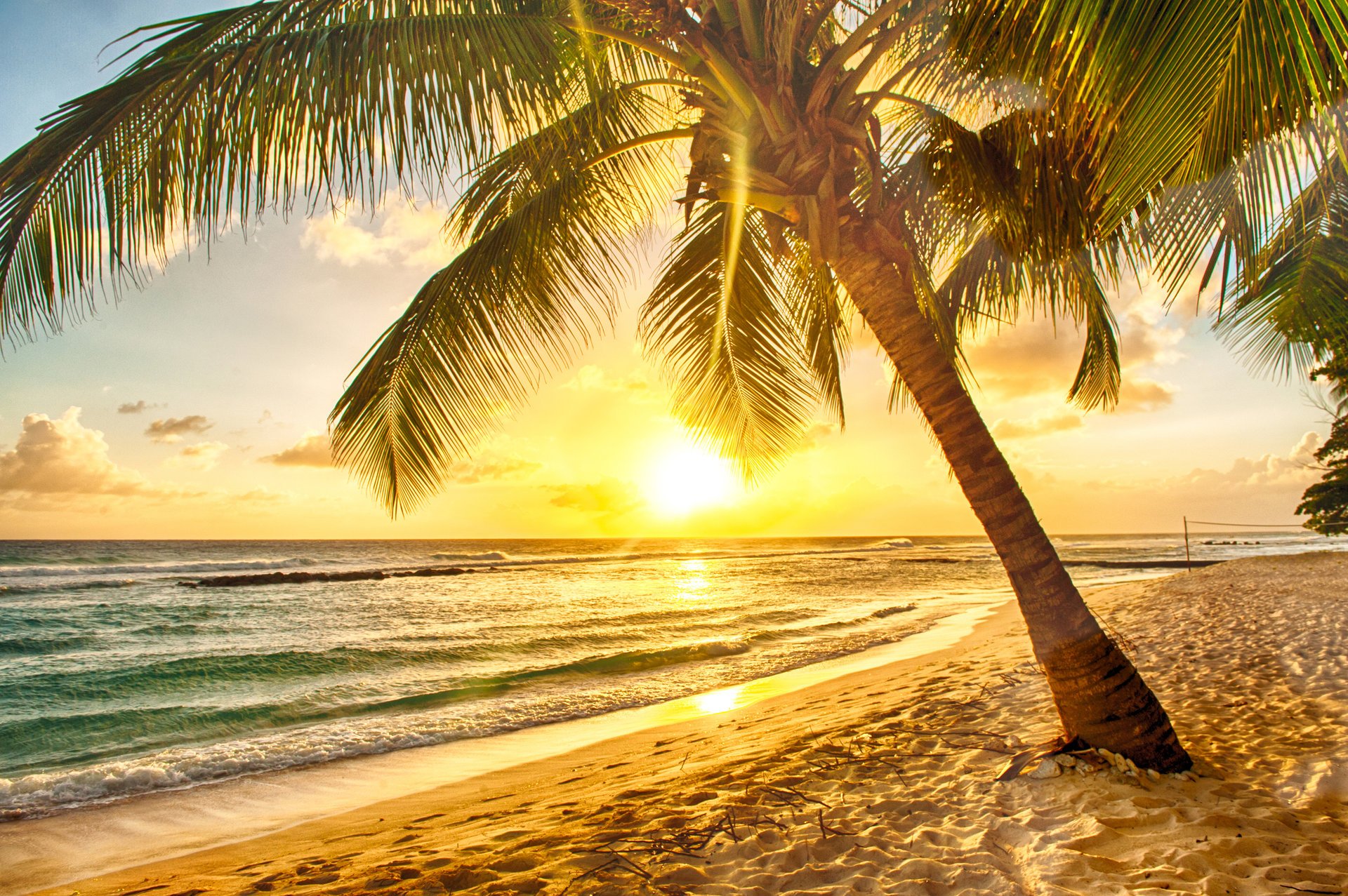 tropical paradis plage palmiers mer coucher de soleil tropiques sable côte