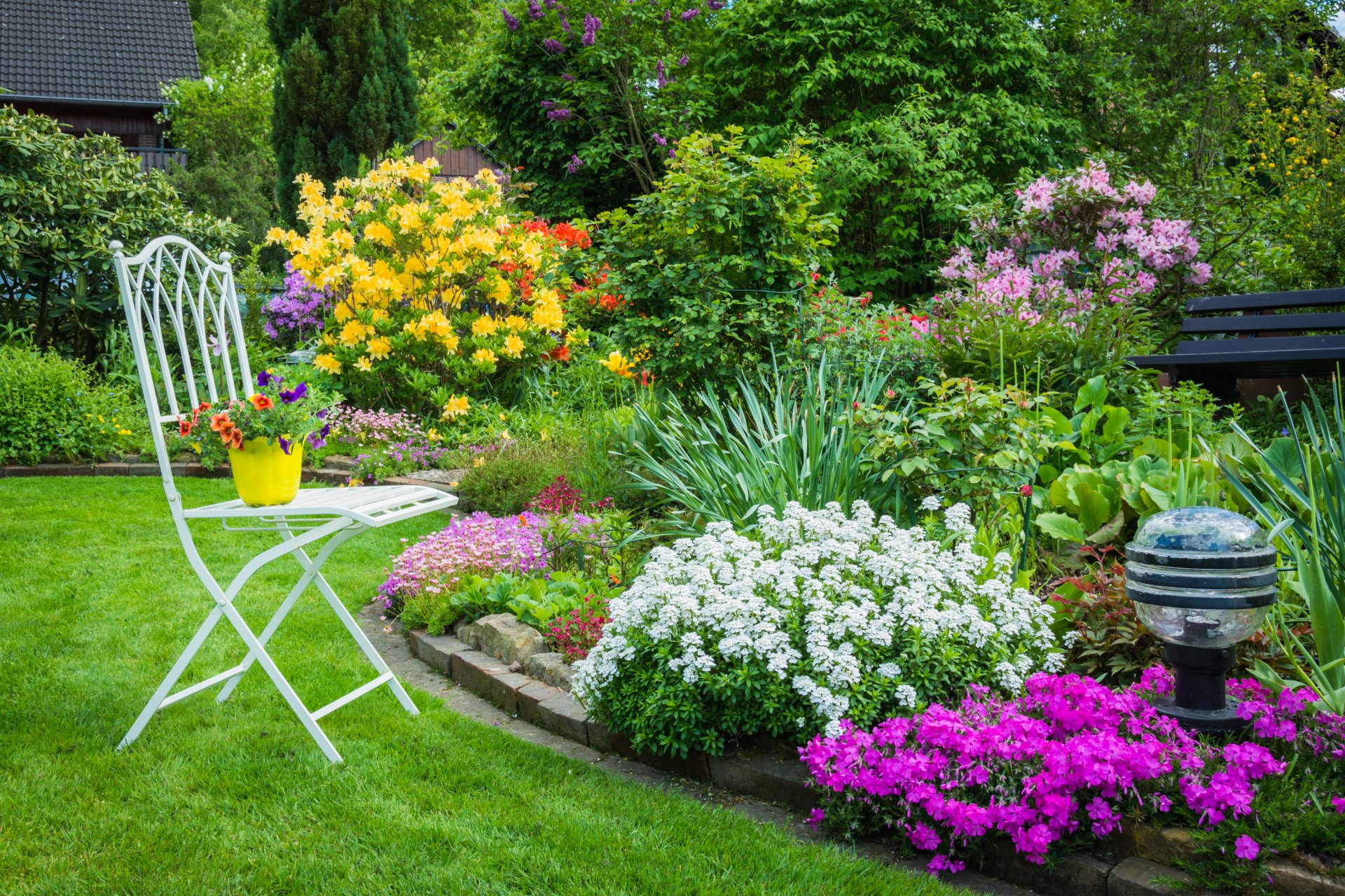 nature flower bed flowers landscape