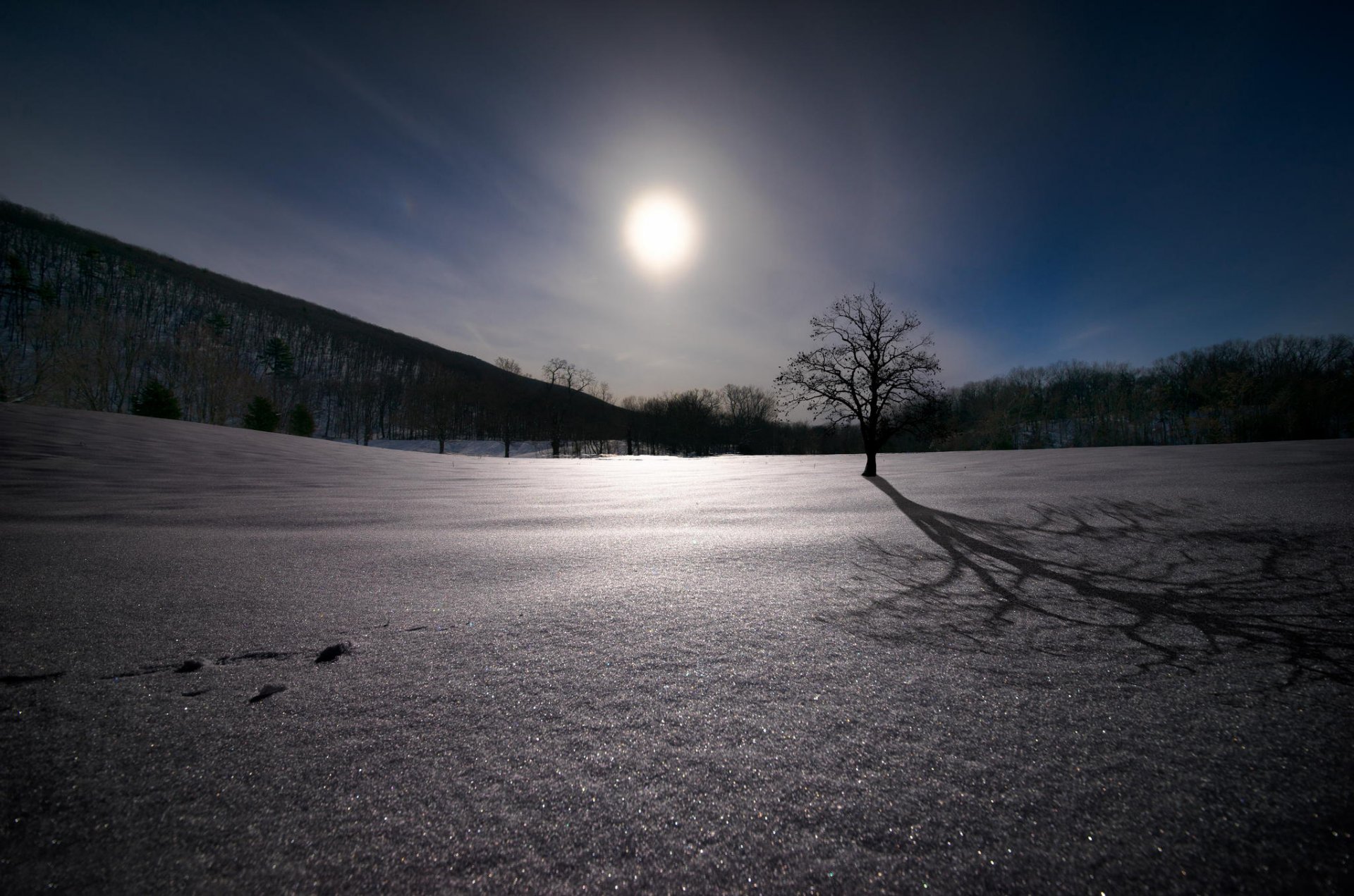 neve legno quercia