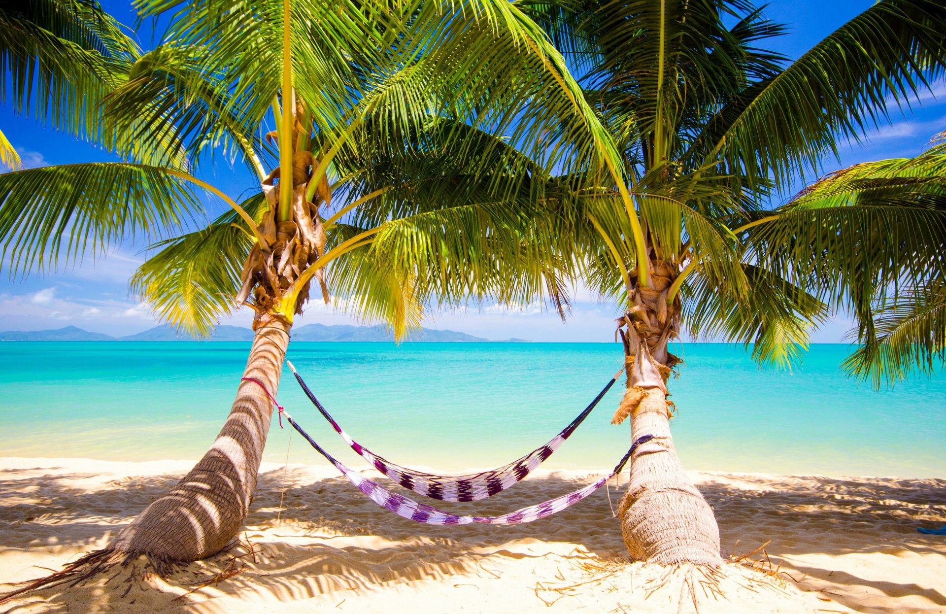 tropisch paradies strand palmen meer ozean sonne sommer urlaub hängematte tropen sand ufer