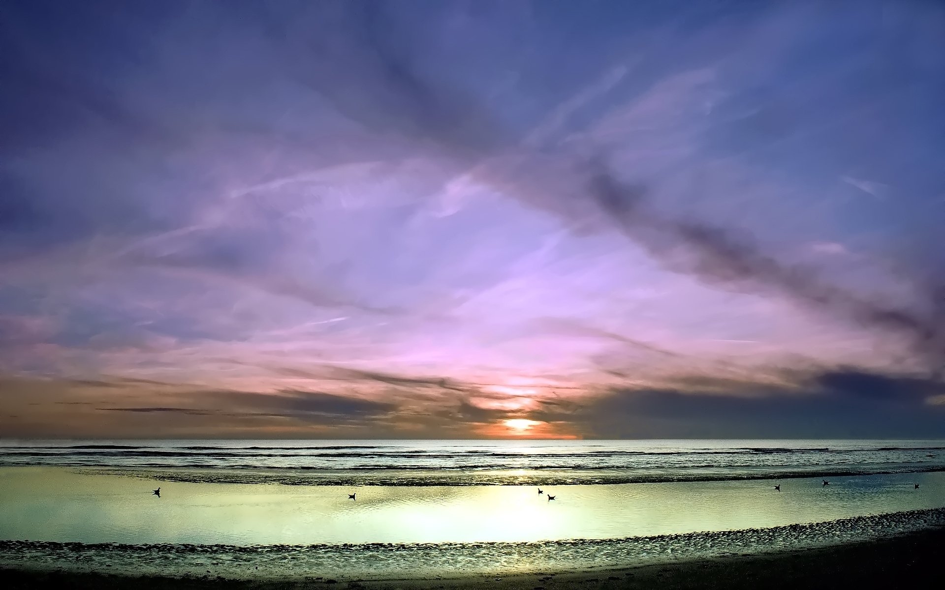 coucher de soleil mer ciel côte vagues oiseaux